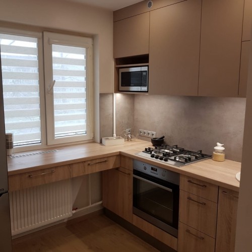 Lietuviešu projekts